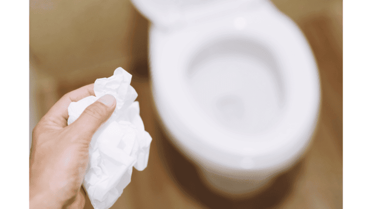 How to Unclog Toilet Clogged With Flushable Wipes